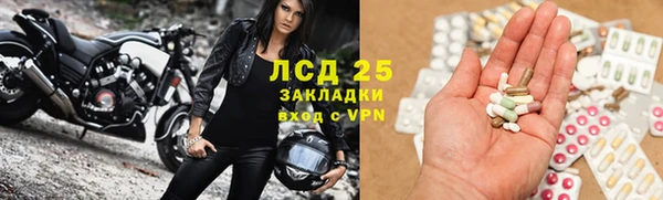 ПСИЛОЦИБИНОВЫЕ ГРИБЫ Осинники