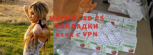 мяу мяу мука Абаза