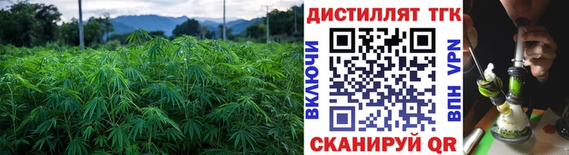 Дистиллят ТГК THC oil  как найти   OMG   Протвино 