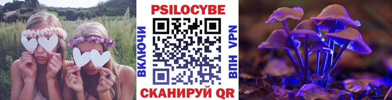 Псилоцибиновые грибы Psilocybe Протвино