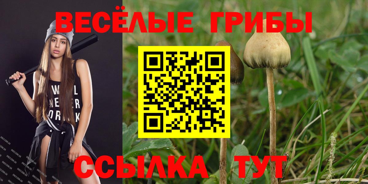 Протвино  Псилоцибиновые грибы мухоморы  Вход с VPN 