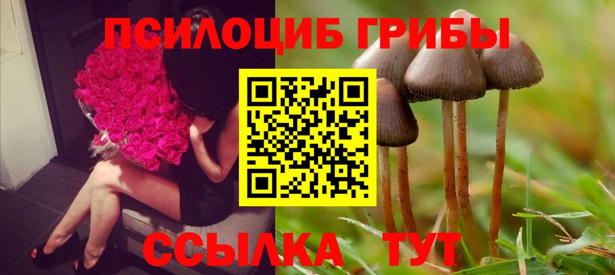 Галлюциногенные грибы мицелий Протвино