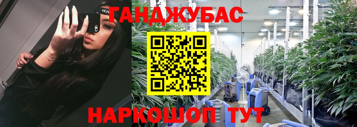 Каннабис Amnesia Протвино